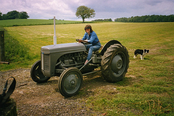 Memories of the Grey Fergie